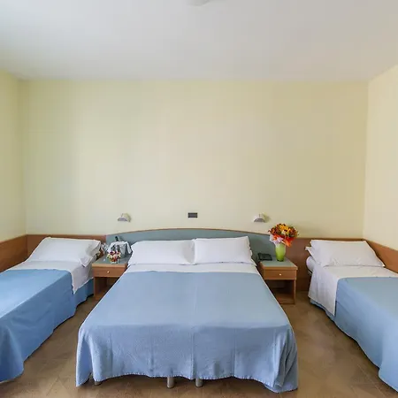 Hotel International
