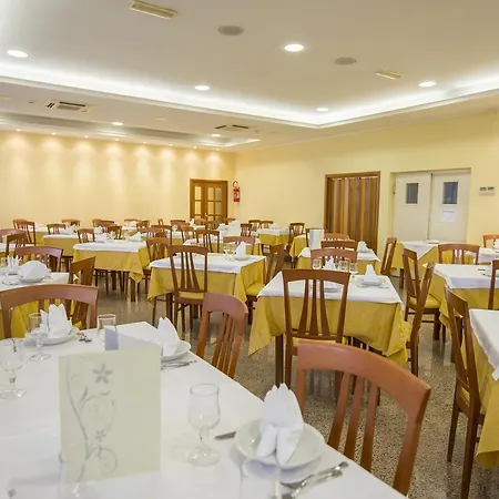 International Tortoreto